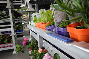 RFID dock door_plant access_case study_tag close up 2016