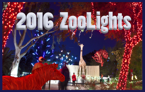 zoolights 2016