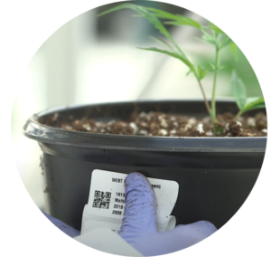 Compliance labeling for cannabis growers